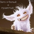 Александр (@alexkv)