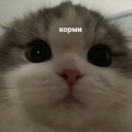 Вика Архипова (@become.a.mortal)