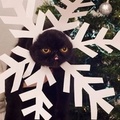 Ппп Ллл (@id460711252)