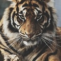 Mn Inspiration (@mn_inspiration)