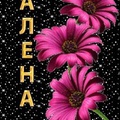 Алёна Гурьева (@id101393858)
