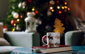 Рождественские и Новогодние книги