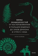 Мифы окаменелостей. От костей великанов и пальцев водяных до зубов дракона и стрел с неба