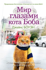 Мир глазами кота Боба. Новые приключения человека и его рыжего друга