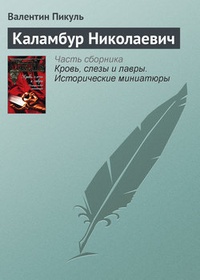 Обложка Каламбур Николаевич